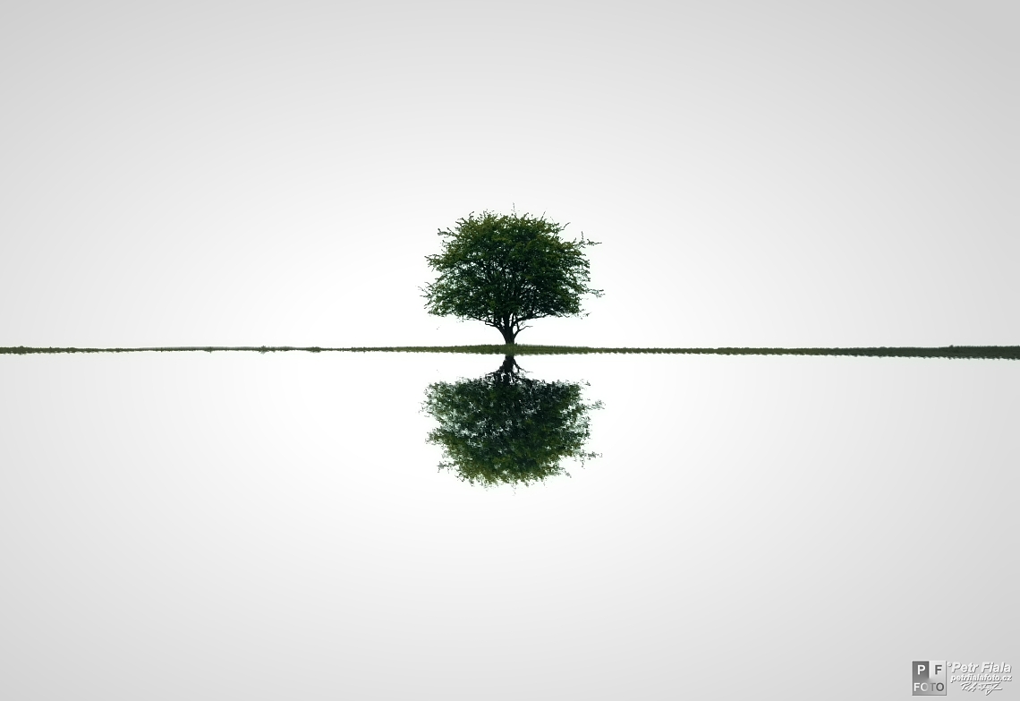 Strom naděje | Petr Fiala