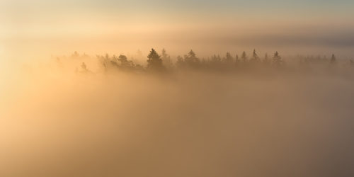 Ranní mlžení | Petr Fiala