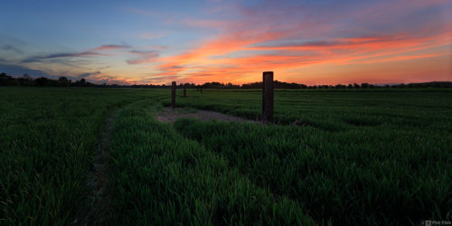 Červánkový večer | Petr Fiala