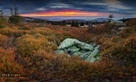 Horská zátiší: Balvany a borůvčí